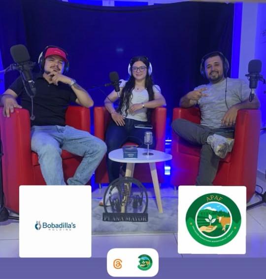 Podcast Plana Mayor
